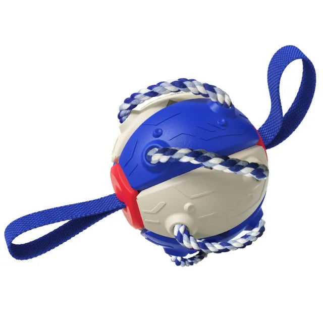 Rebound Frisbee Ball