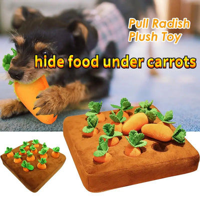 Plush Chew Toy