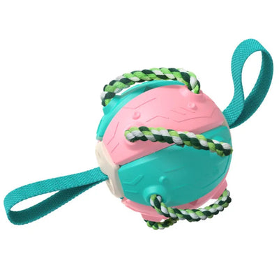 Rebound Frisbee Ball