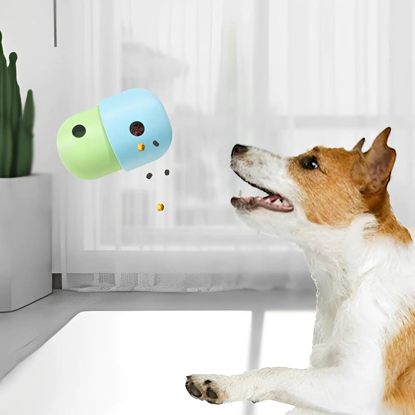 Treat Dispensing Pet Toy