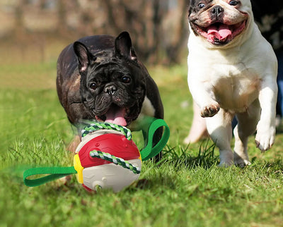 Rebound Frisbee Ball