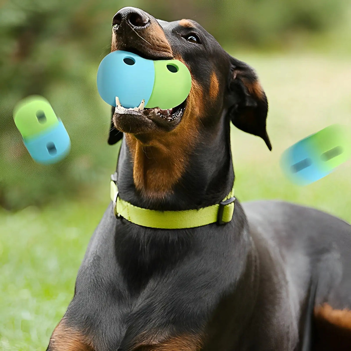 Treat Dispensing Pet Toy