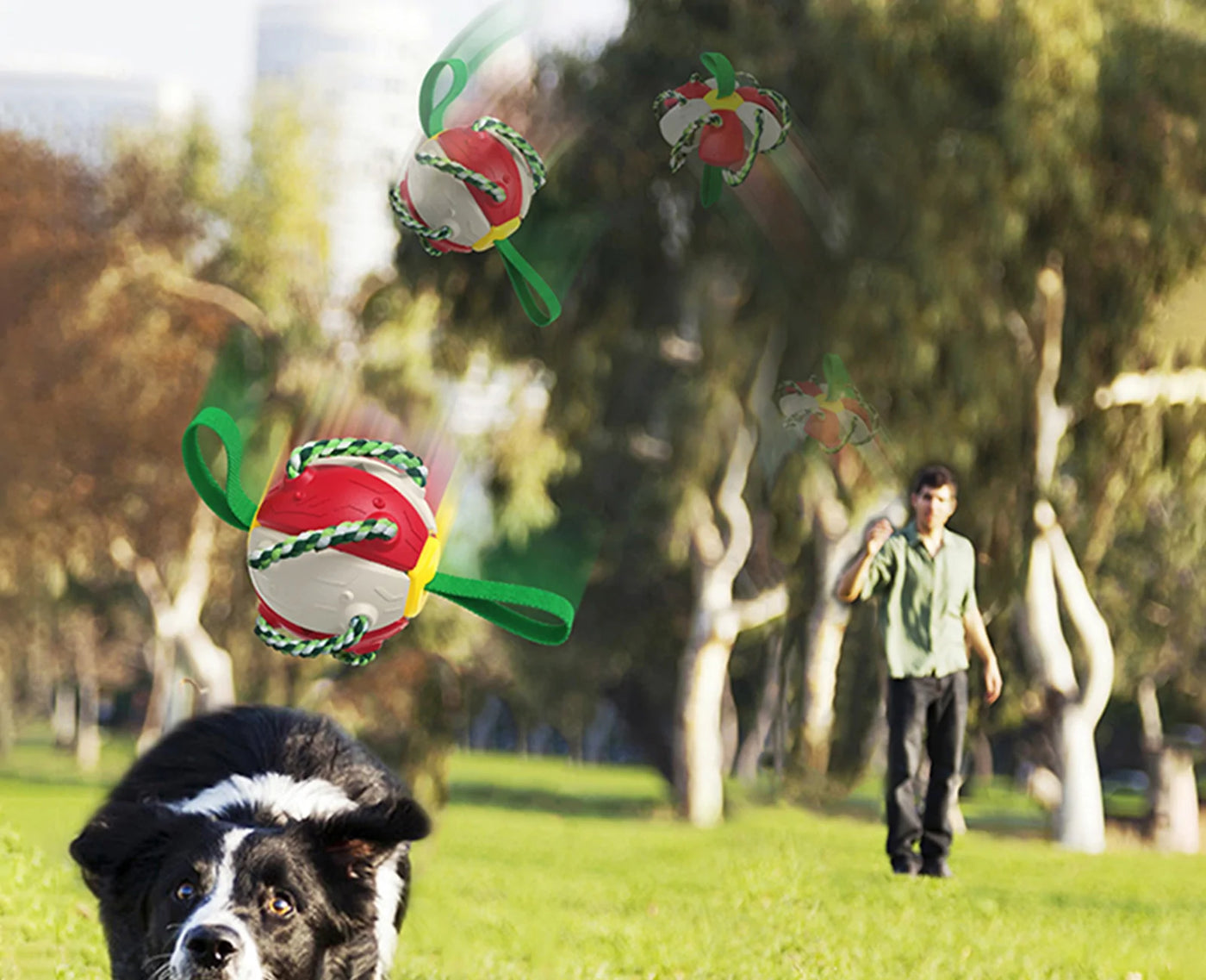 Rebound Frisbee Ball