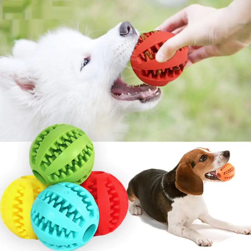 Rubber Ball Dog Toy