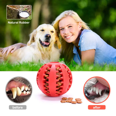 Rubber Ball Dog Toy